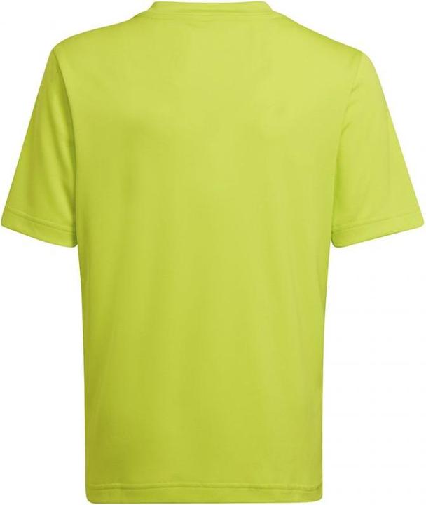Produktbild adidas Entrada 22 Graphic Trikot (116)
