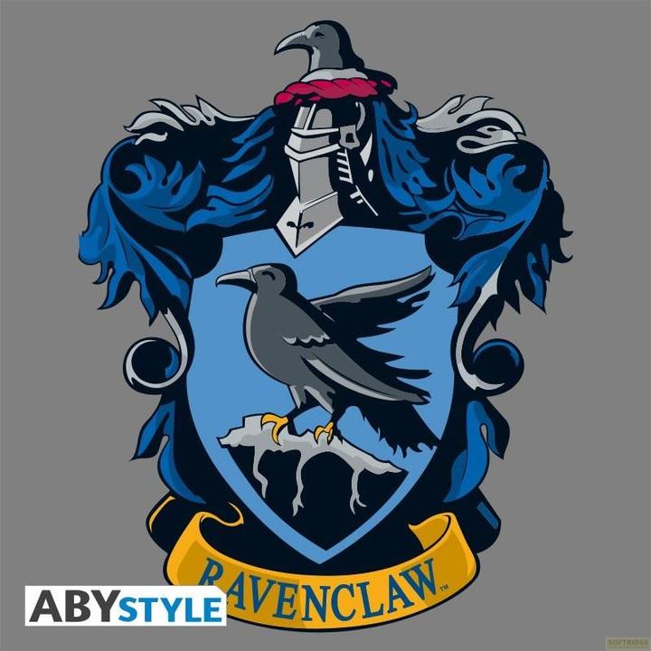 Immagine prodotto ABYstyle HARRY POTTER - Tshirt Ravenclaw uomo SS grigio blu premium (XL)