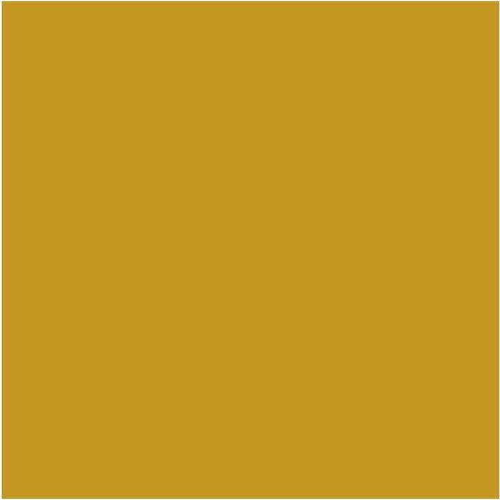 Image du produit Talens Ecola (Jaune ocre, 500 ml)