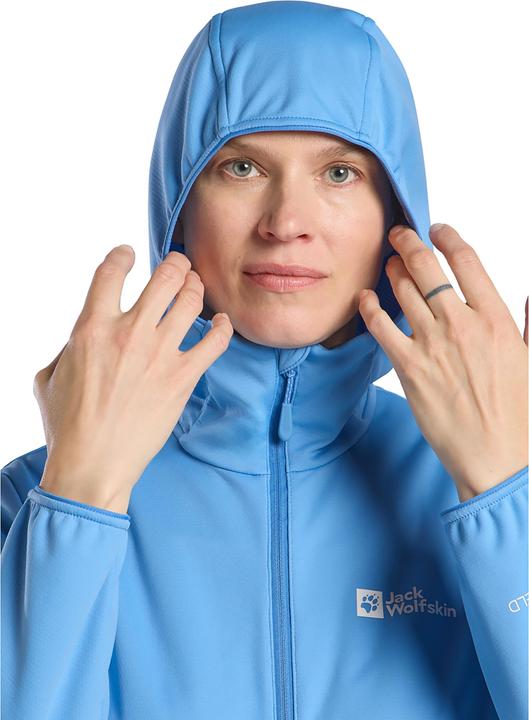 Actual product image Jack Wolfskin Feldberg Hoody W (XS)