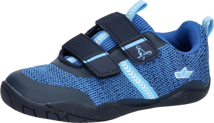 Actual product image Lico Aride V (24)