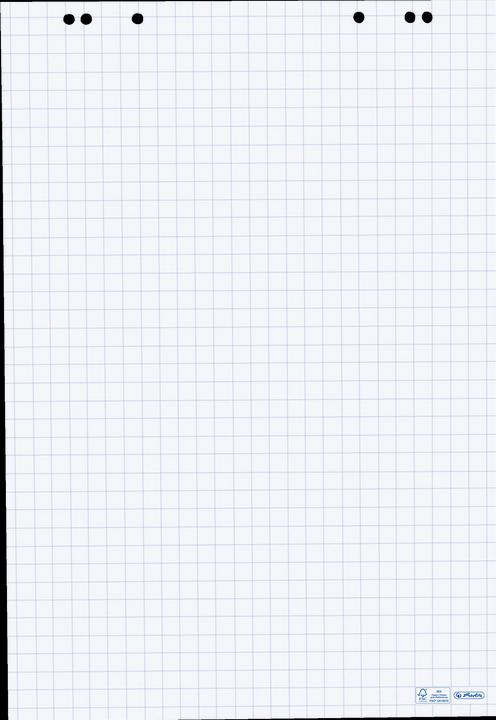 Herlitz Flipchart-Block, 20 Blatt, kariert, 680 x 990 mm 80 g-qm, holzfrei, mit Mikroperforation, gerollt