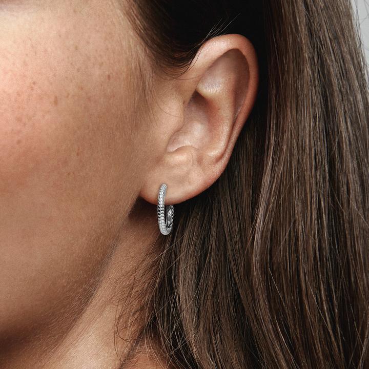 Actual product image Pandora Moments (Silver 925)