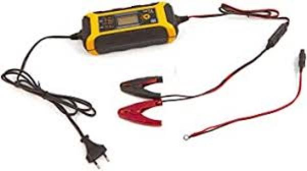 Actual product image GYS Artic 8000 (12V, 8 A)