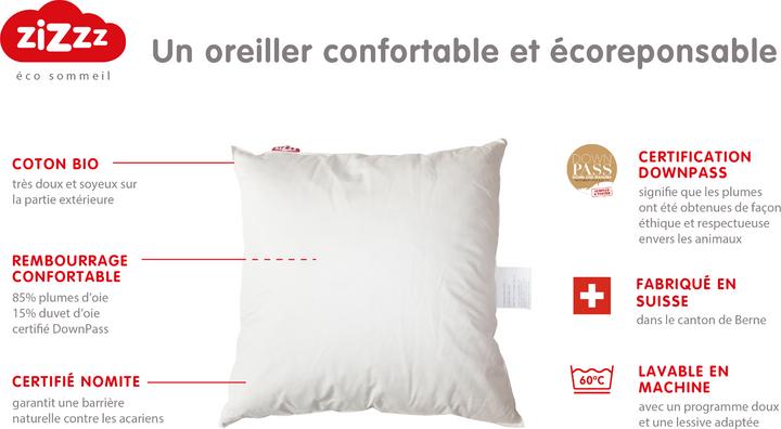 Image du produit Zizzz Oreiller en duvet d'oie premium (60 x 90 cm)