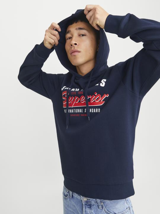 Immagine prodotto Jack & Jones JJELOGO SWEAT HOOD 2 COL 24/25 NOOS (XS)