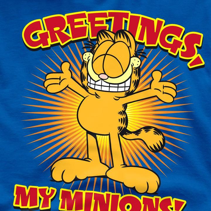 Immagine prodotto Garfield Minions Maglietta Uomo (4XL)
