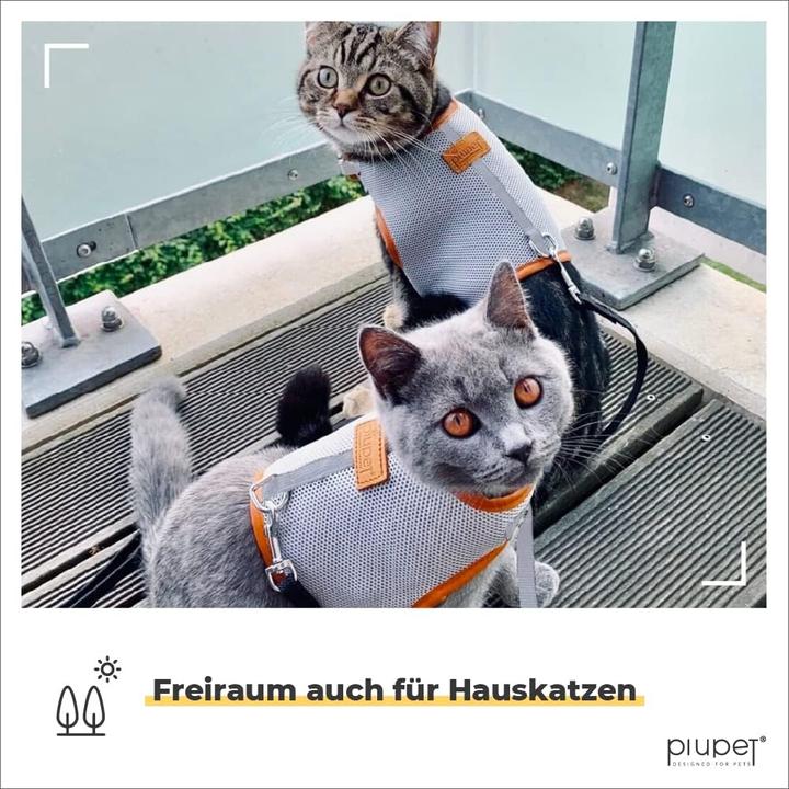 Produktbild PiuPet Katzengeschirr (One Size, Katze, Allgemein)