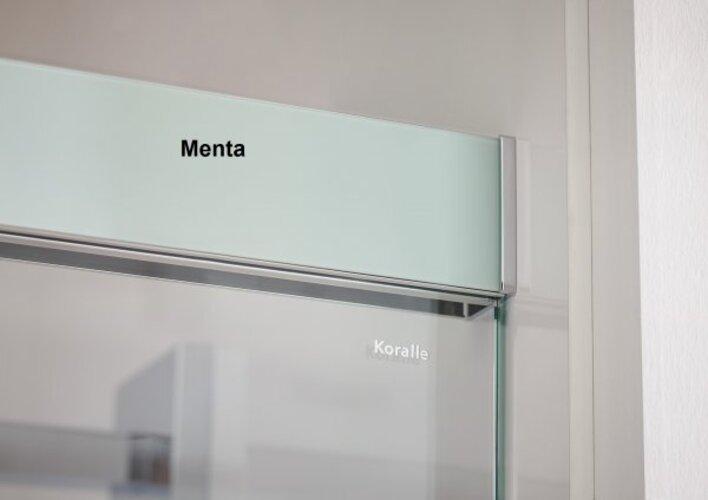 Actual product image Koralle S600Plus sliding door with partition on entrance side DSTD2 140 R, partition right, 1400mm (102.50 cm, 208.80 cm, 37.80 cm)