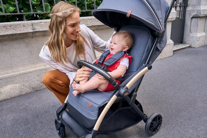 Actual product image Chicco 4-Wheel Stroller Goody Xplus Dark