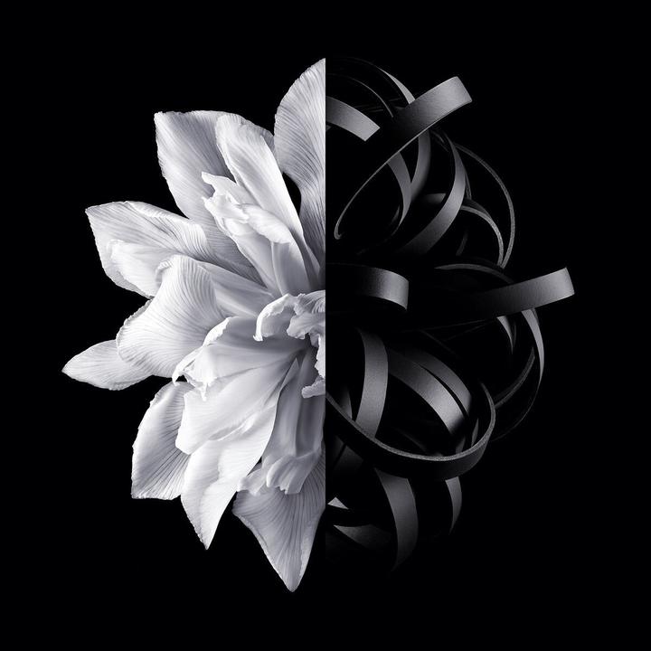 Immagine prodotto Givenchy L'Interdit 2019 (Eau de toilette, 80 ml)