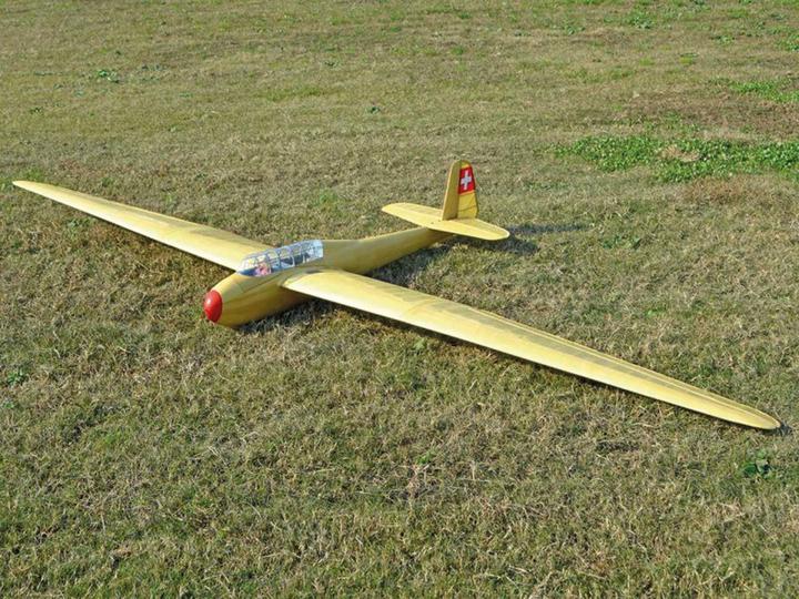 Actual product image Pichler Crane 3000 mmmm Glider Model Kit (Glider)