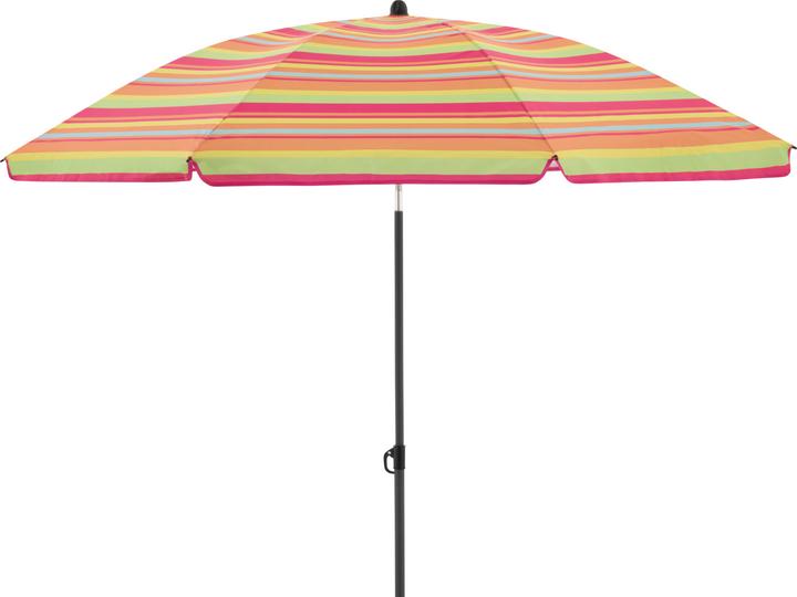 Derby Como (1.60 m)
