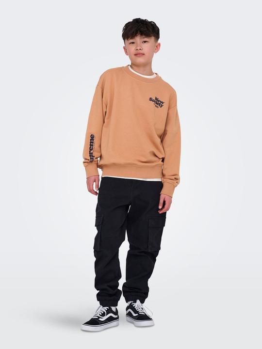 Actual product image Only & Sons Junior OSJTANNER Sweatshirt Sweatshirt (146)