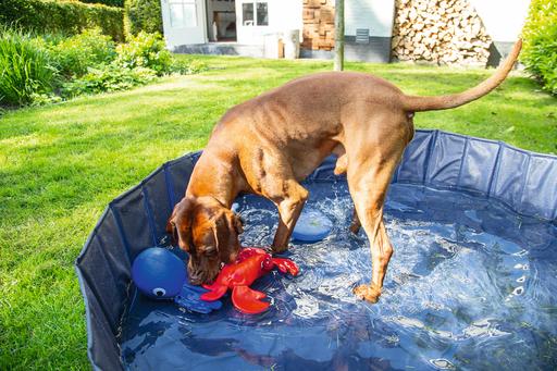 Immagine prodotto Karlie Doggy