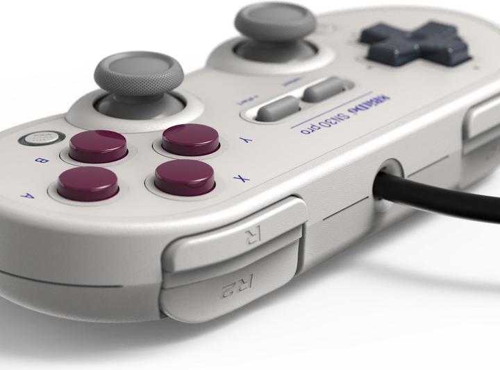 Actual product image 8bitdo SN30 Pro USB Gamepad G Edition (Switch, PC)