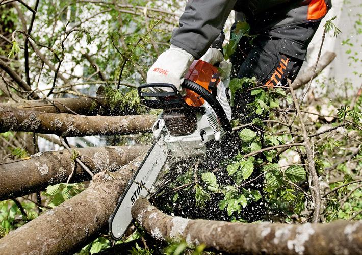 Image du produit Stihl MS 261 C-M (Scie à chaîne à essence)