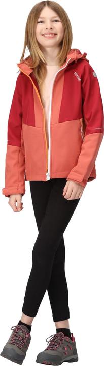 Immagine prodotto Regatta Haydenbury Giacca Soft Shell Bambini (116)