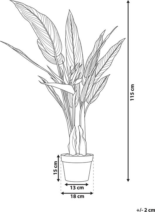 Produktbild Beliani Strelitzia Tree (115 cm)