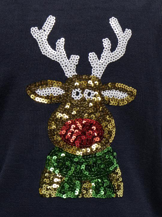 Image du produit Only KOGXMAS Pulls en maille (158)