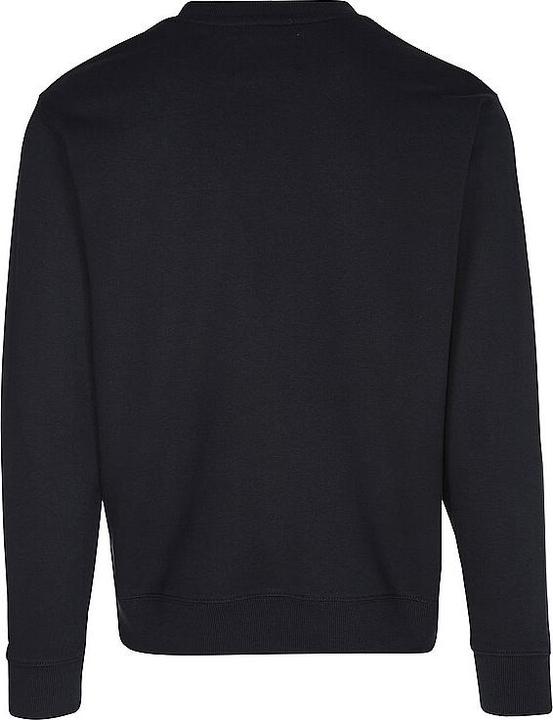 Actual product image Replay Sweater (S)