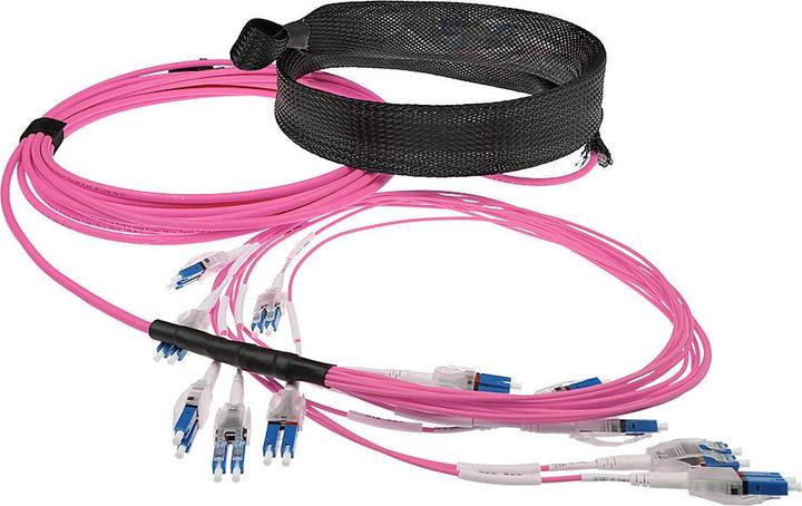 Immagine prodotto 5 metri di cavo in fibra multimodale 50/125 OM4 pretermesso 24F LC Polarity Twist (CAT6, 5 m)