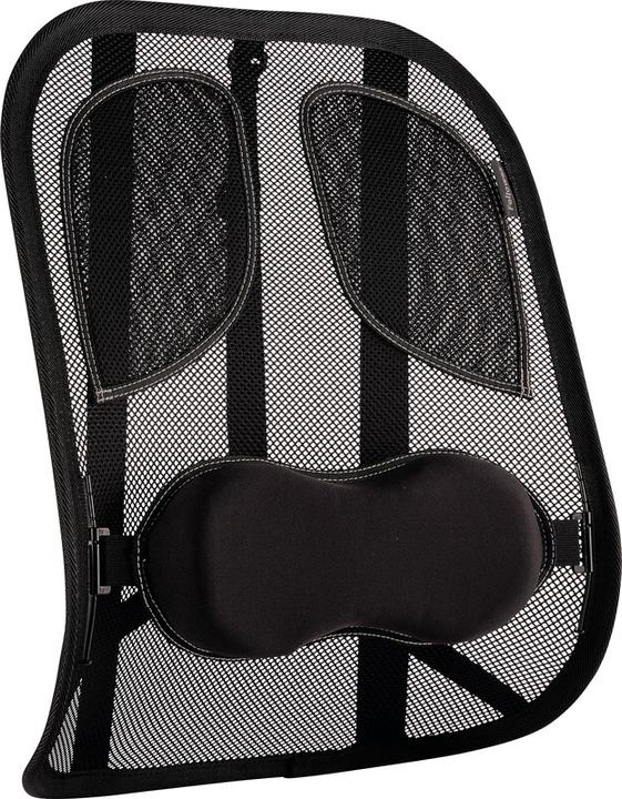 Fellowes Professional Rückenstütze