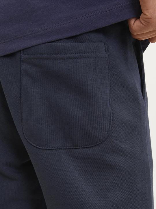 Actual product image Jack & Jones Jpstvesterbro Sweat Shorts Gms Mni (110)