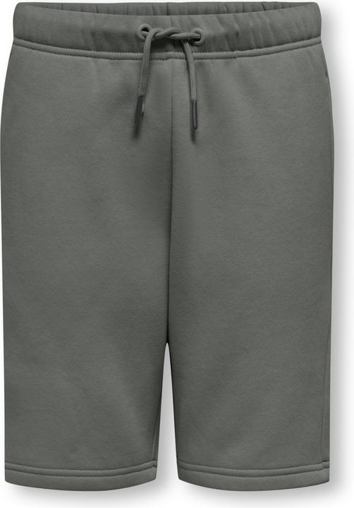 Castor Gray