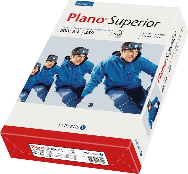 Papyrus Plano Superior