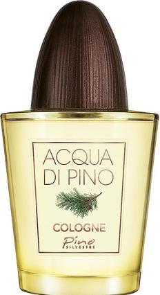 Pino Silvestre Acqua Di Pino Fougere by (Eau de Toilette, 125 ml)
