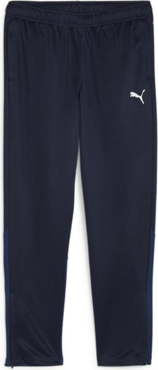 Puma teamGOAL Training Pant Wmn