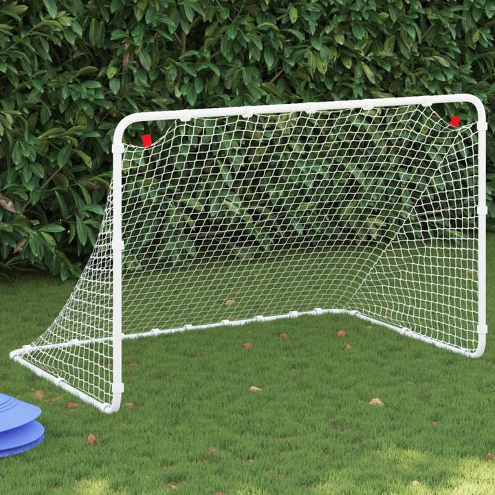 Image du produit VidaXL But de football