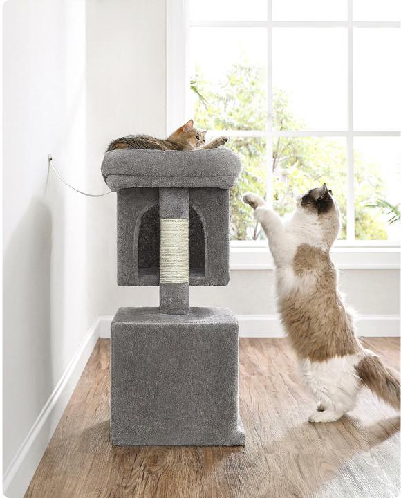 Immagine prodotto Feandrea Simba (74 cm, Grigio)
