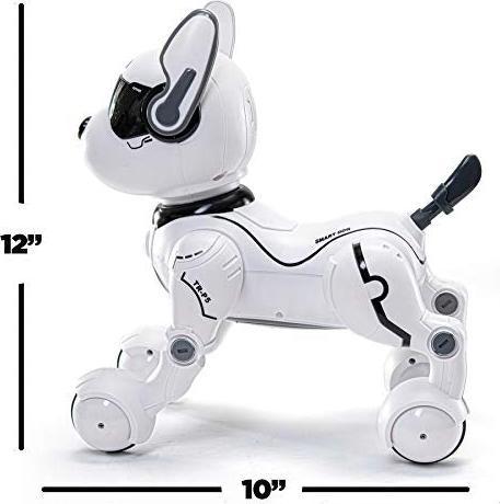 Actual product image Top Race Robot dog