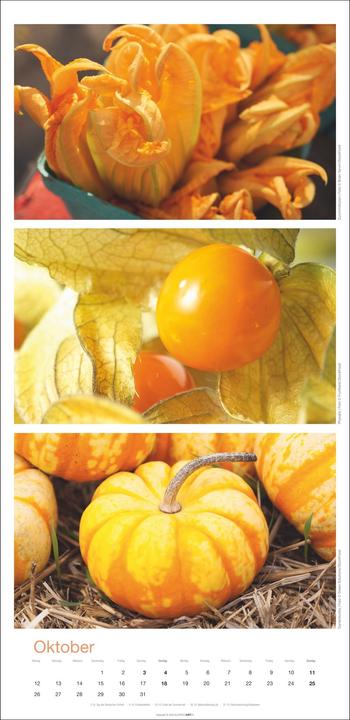 Image du produit Colours of Food Kalender 2026 (33 x 68 cm, Couverture rigide, Allemand)