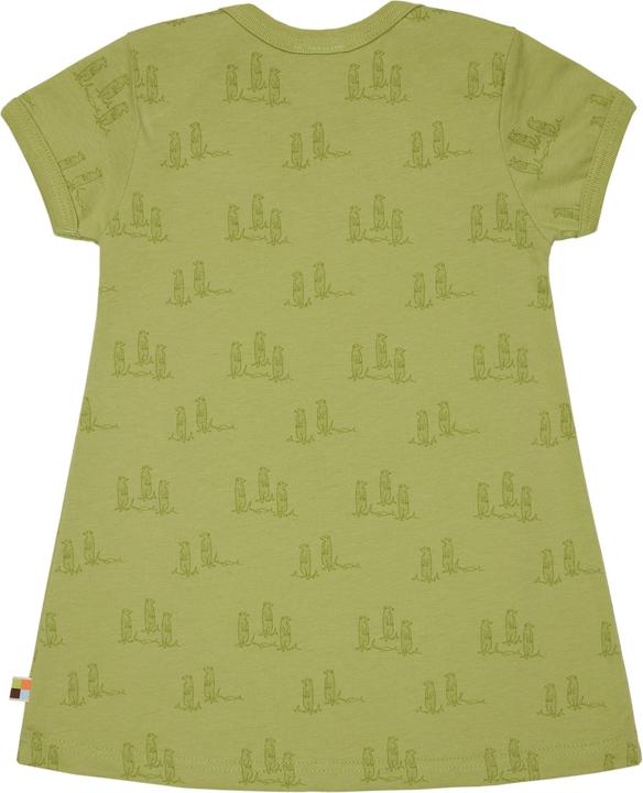 loud + proud Kleid Druck (122)