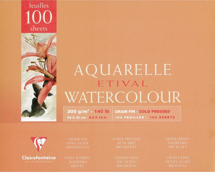 Actual product image Clairefontaine Moist techniques (300 g/m², 45 x)