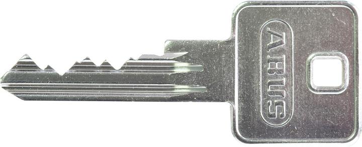 Abus KE60NP Z45/K55 B/EFNLSPP