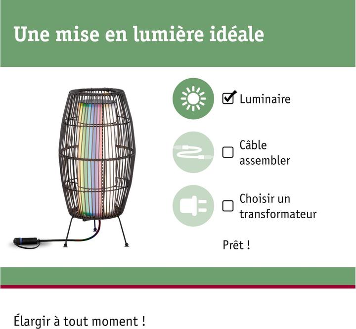 Produktbild Paulmann Outdoor Plug & Shine Basket (260 lm, IP44)