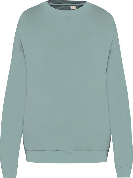 Native Spirit Sweatshirt (L)