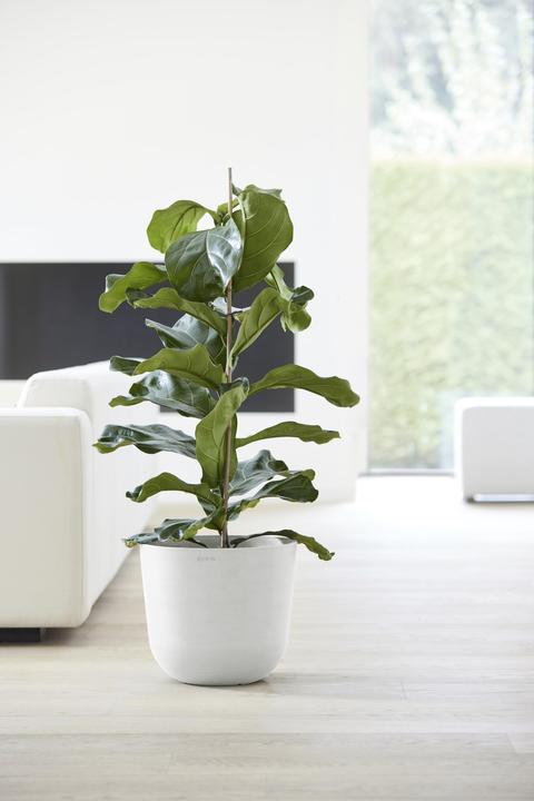Produktbild Ecopots Oslo (25.25 cm)