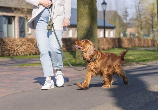 Produktbild Designed by Lotte Hundehalsband Velura (50, Hund, Jogging, Spazieren)
