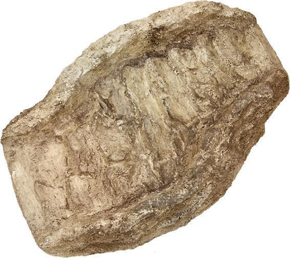 Image du produit Koi-Breeder Coque de ruisseau Kasskade en PRV