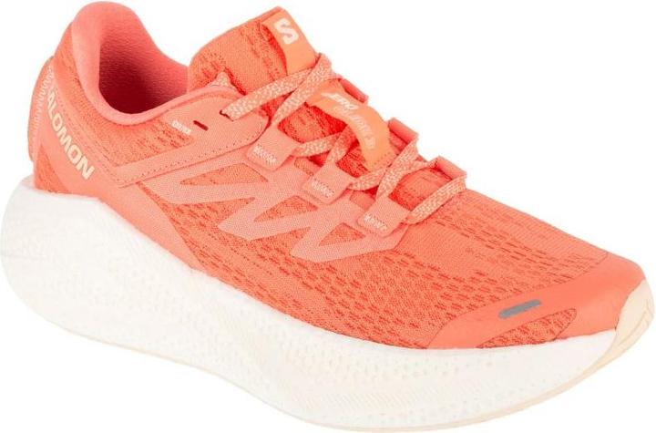 Salomon Aero Glide Laufschuhe (38)