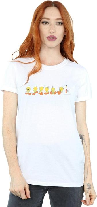 Produktbild Looney Tunes Tweety Pie Colour Code TShirt (3XL)