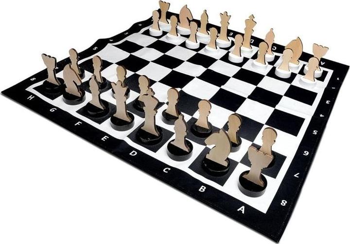 Actual product image BS Chess