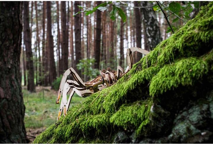 Actual product image Eco Wood Art spider