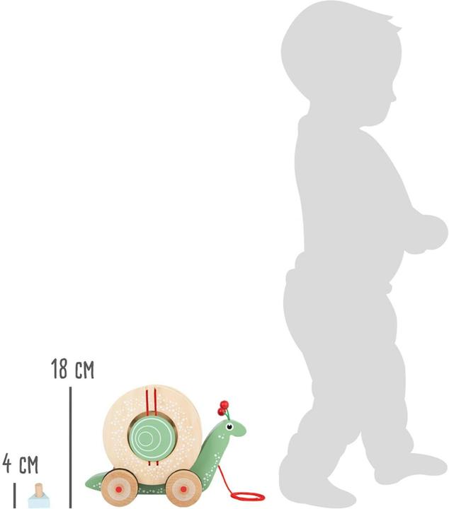 Actual product image small foot snail