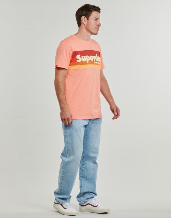 Actual product image Superdry Terrain Logo Stripe Relxed Tee (M)